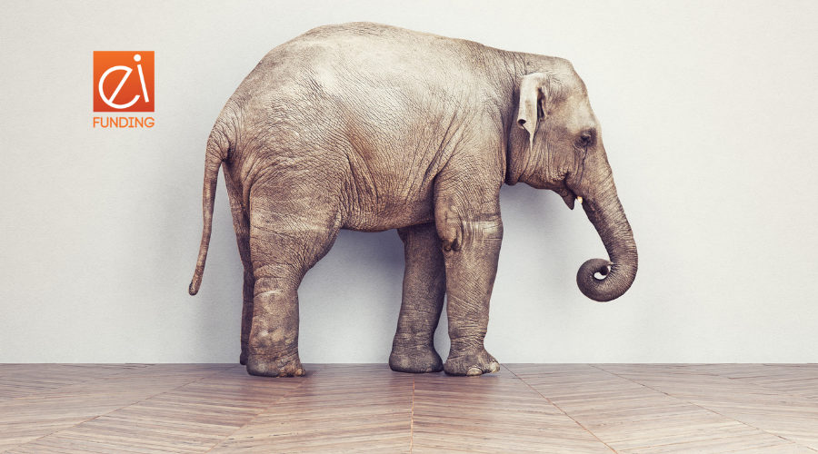 The White Elephant In The Room Collections Ei Funding
