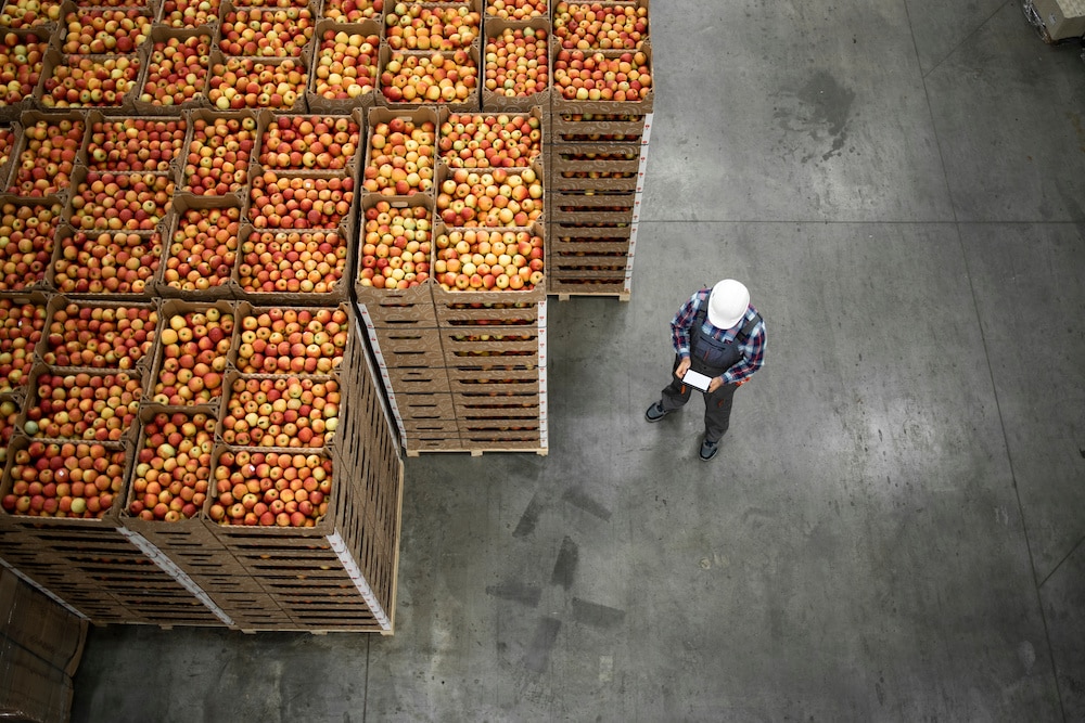 Photo of a warehouse employee from above next to massive crates of fresh apples